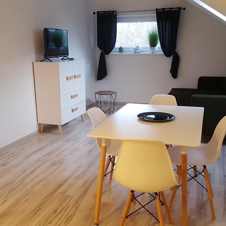 Apartamenty - Pod Wierzbami Dwikozy Rum bild