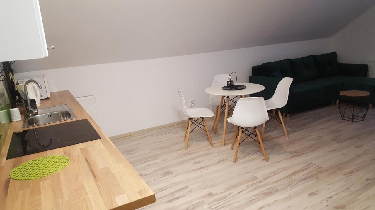 Apartamenty - Pod Wierzbami Dwikozy Exteriör bild