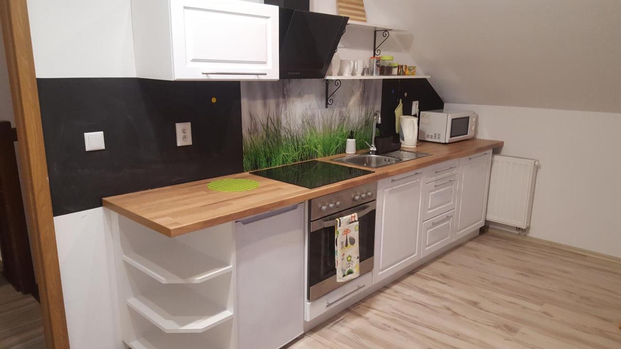 Apartamenty - Pod Wierzbami Dwikozy Exteriör bild