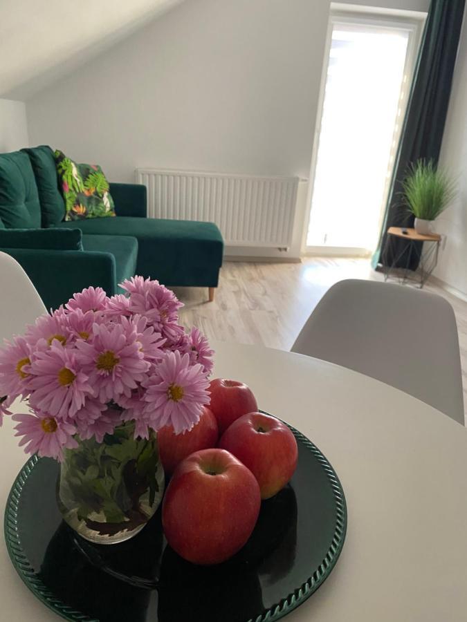 Apartamenty - Pod Wierzbami Dwikozy Exteriör bild
